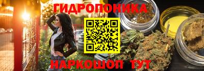 прущие крисы Будённовск