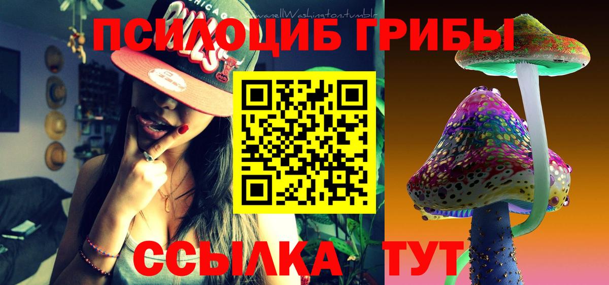 Родники  Галлюциногенные грибы Psilocybe  Вход с VPN 