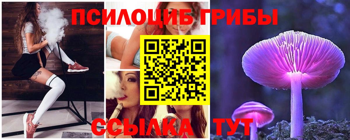 Псилоцибиновые грибы Psilocybe Родники